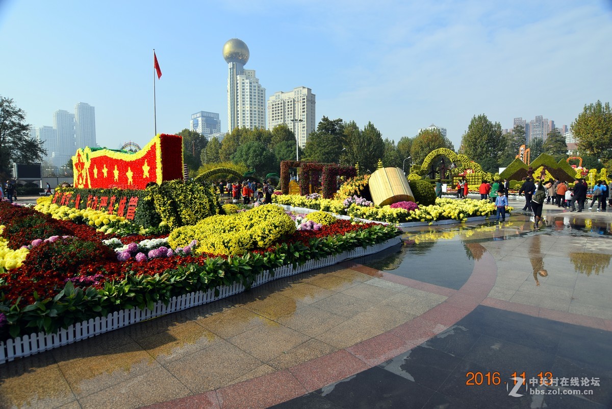 汉口江滩观菊展