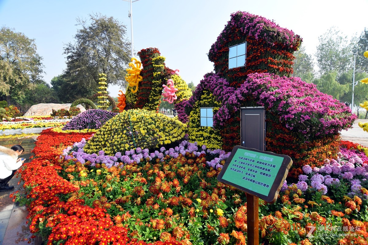 汉口江滩观菊展