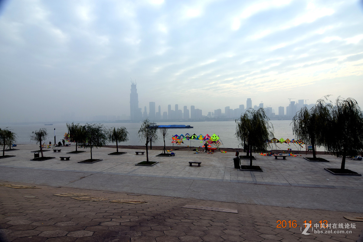 汉口江滩观菊展