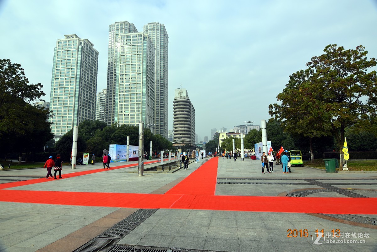 汉口江滩观菊展