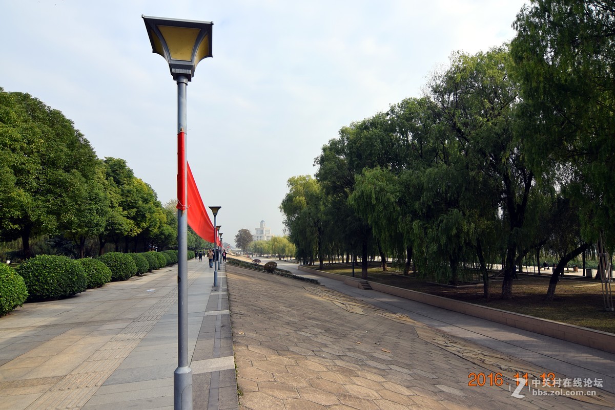 汉口江滩观菊展