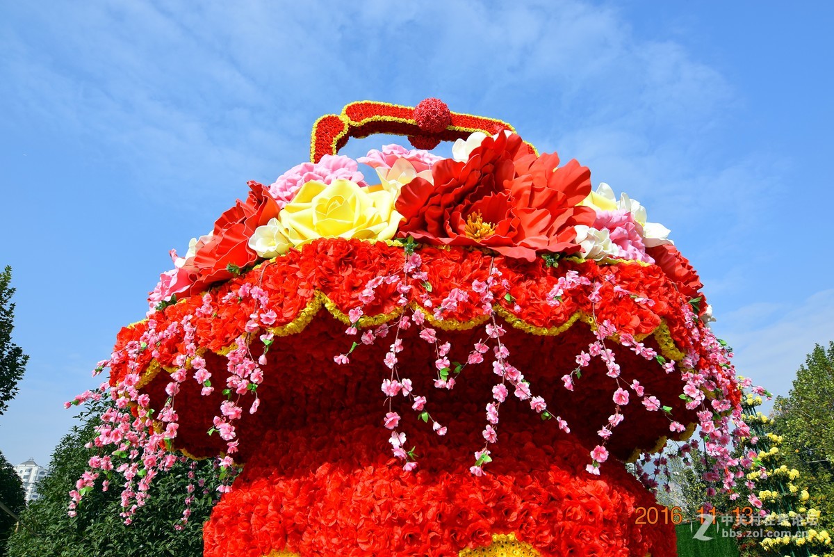 汉口江滩观菊展