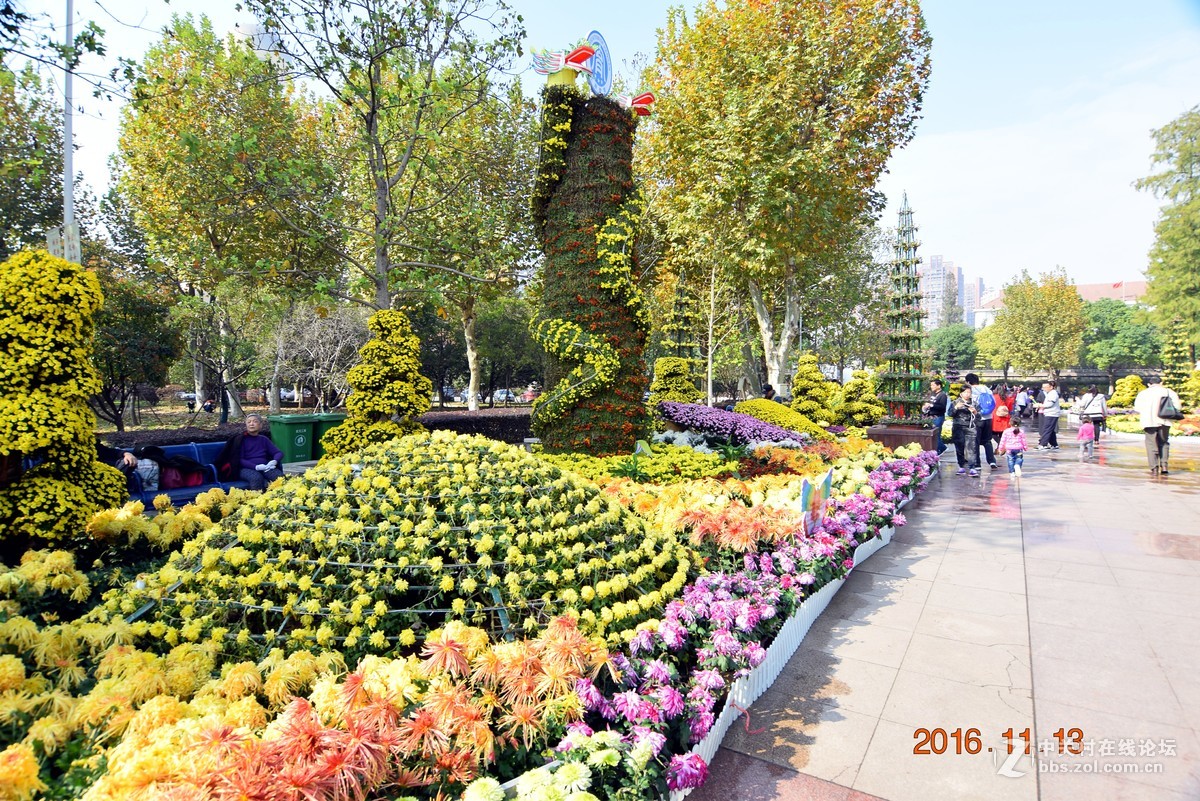 汉口江滩观菊展