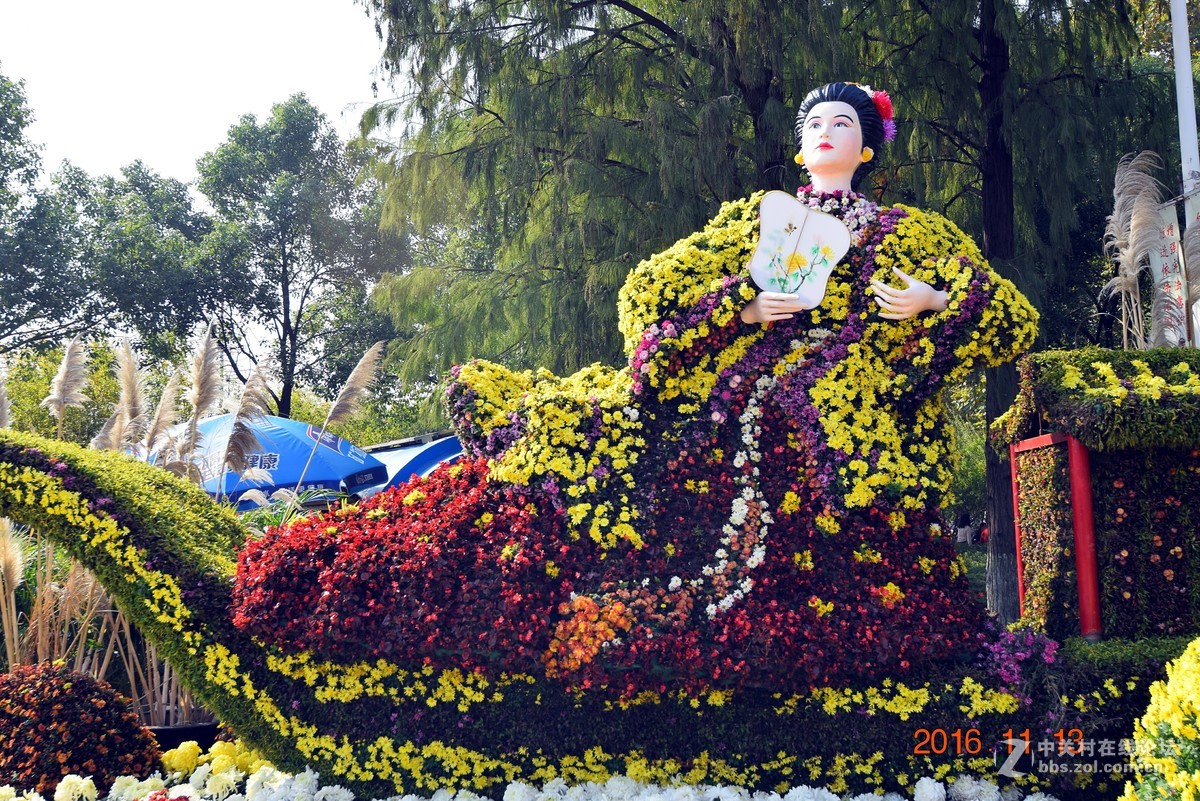 汉口江滩观菊展