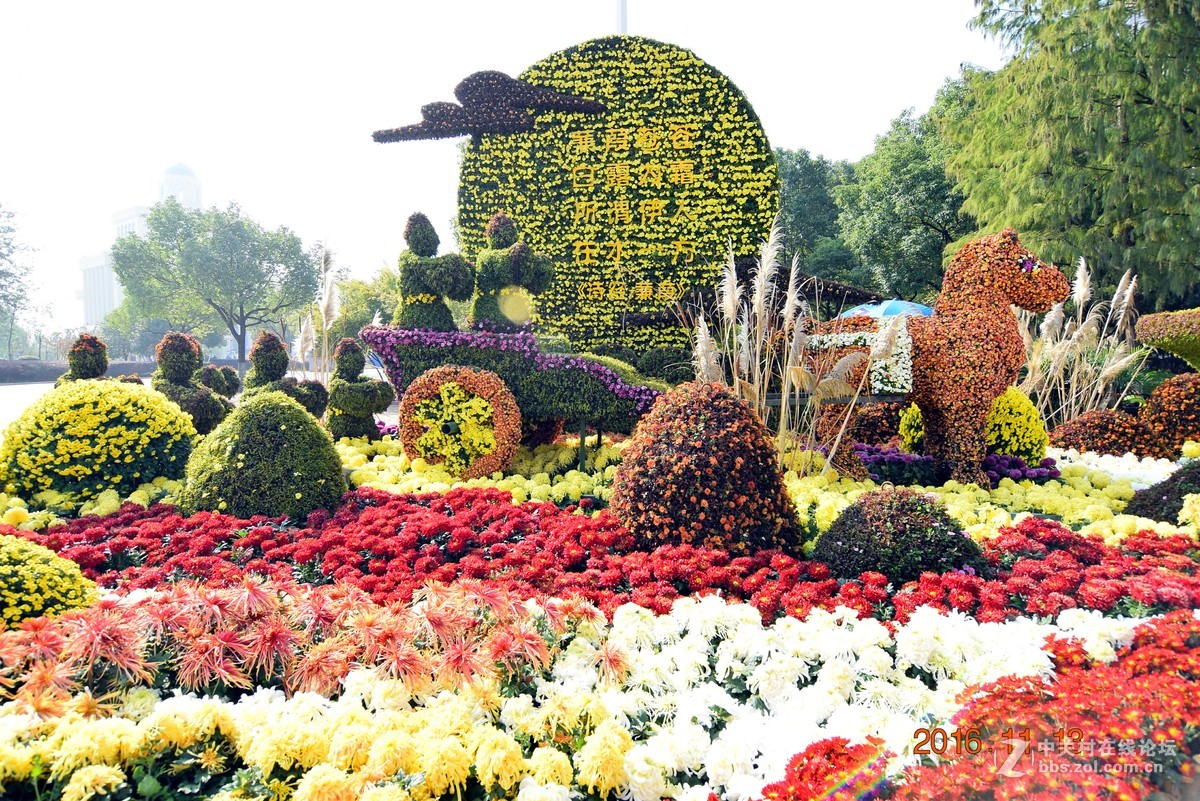 汉口江滩观菊展