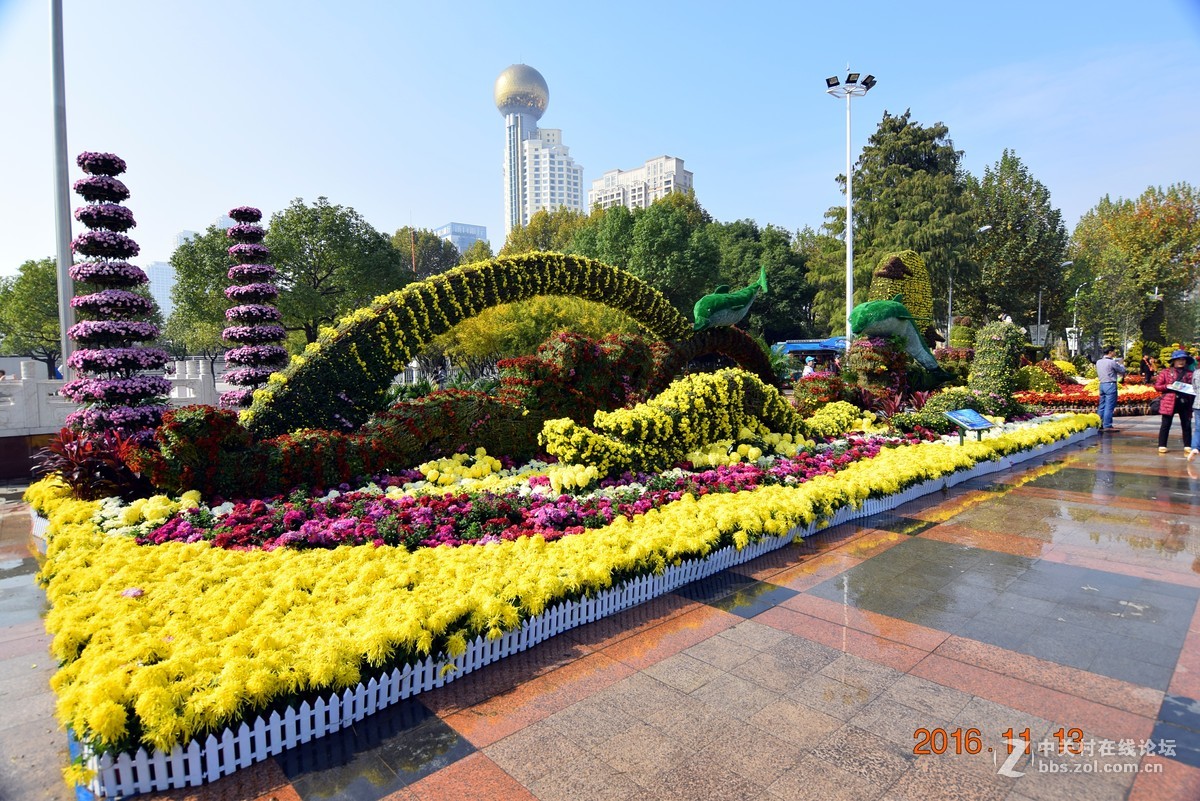 汉口江滩观菊展