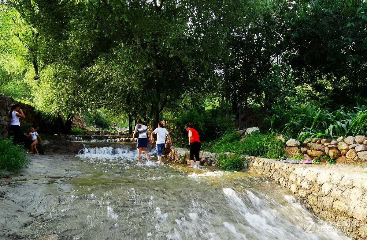 雨后相约来戏水-中关村在线摄影论坛