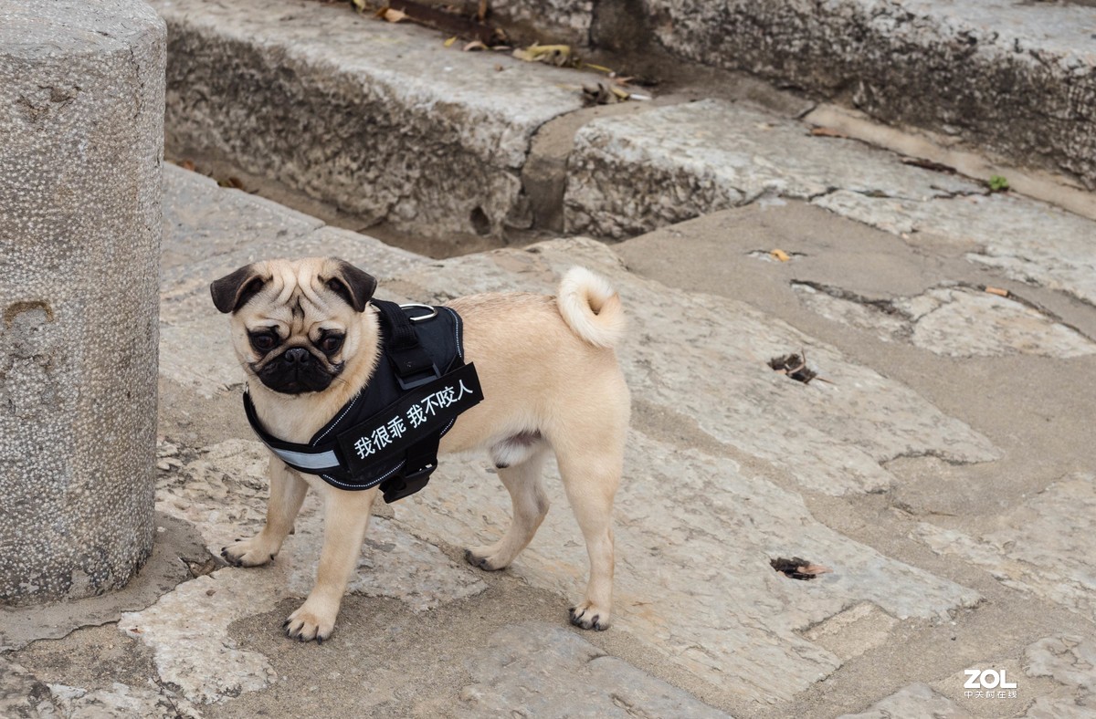 新入EM5II12-40套机，试镜拍摄，本小白还是新手请各位指正！LR胡乱后期了下！