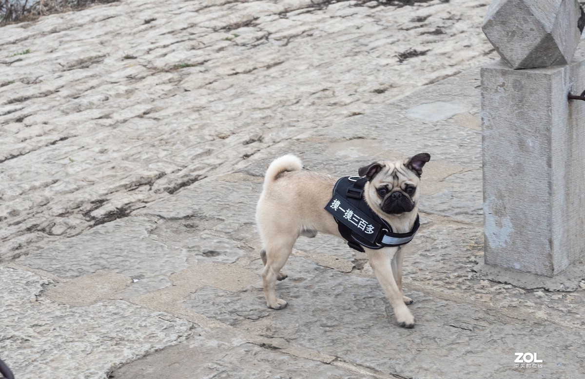 新入EM5II12-40套机，试镜拍摄，本小白还是新手请各位指正！LR胡乱后期了下！