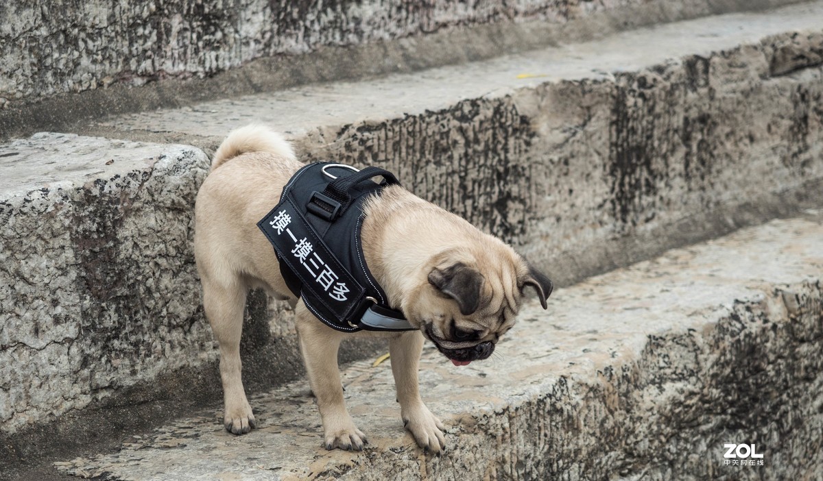 新入EM5II12-40套机，试镜拍摄，本小白还是新手请各位指正！LR胡乱后期了下！