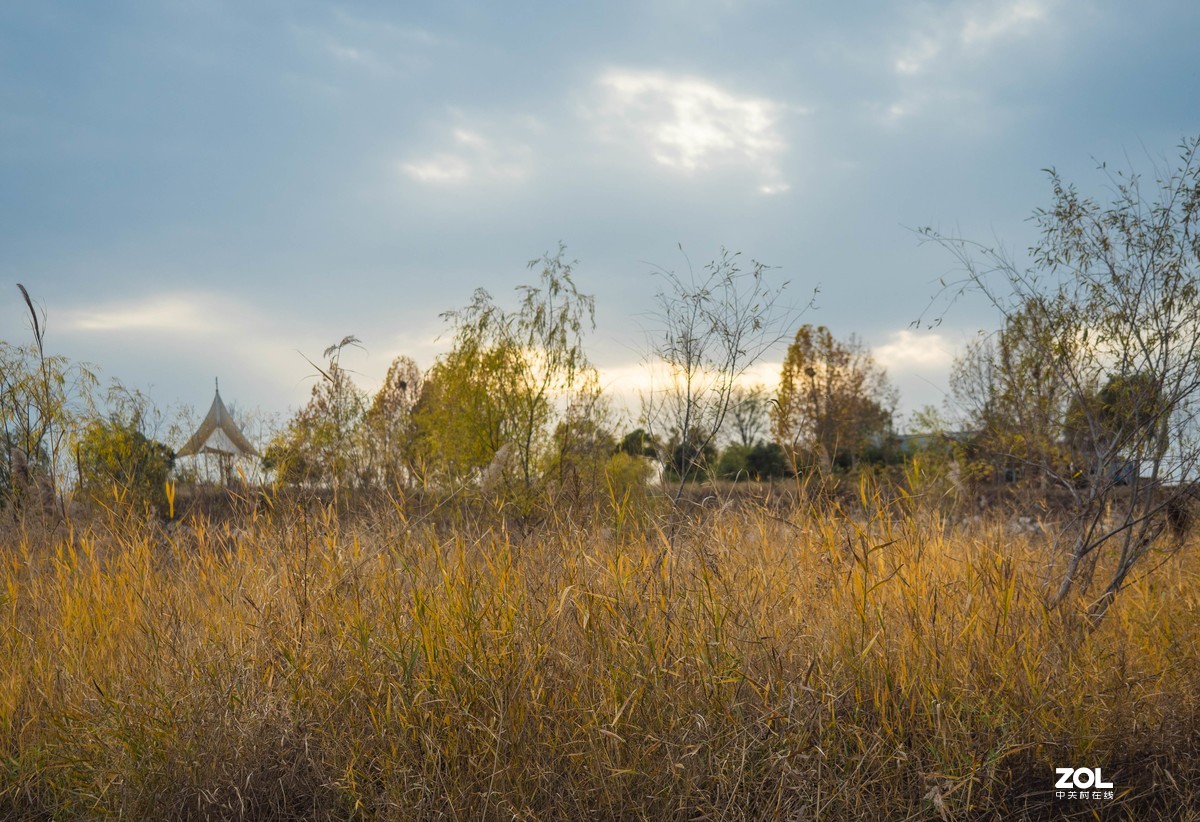 新入EM5II12-40套机，试镜拍摄，本小白还是新手请各位指正！LR胡乱后期了下！