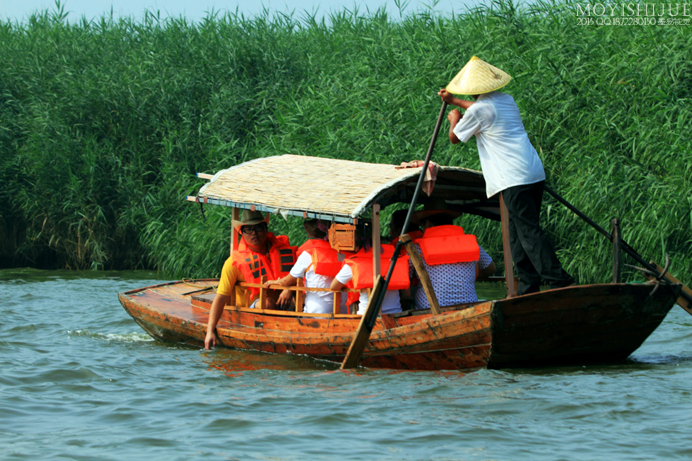为荷而来__致贺厚重河洛升任自驾摄游版主！！！