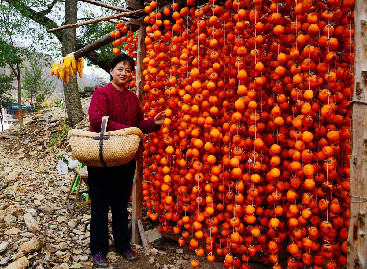 青州柿子沟所拍
