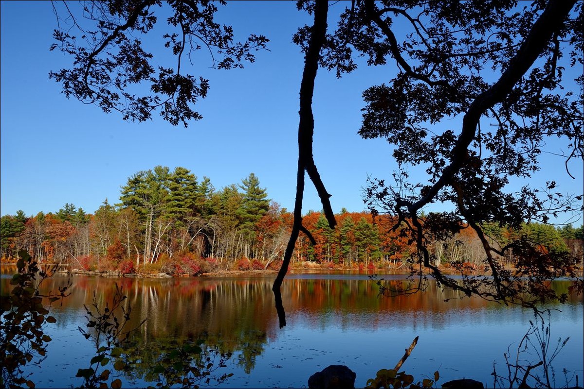 休闲随拍（262）