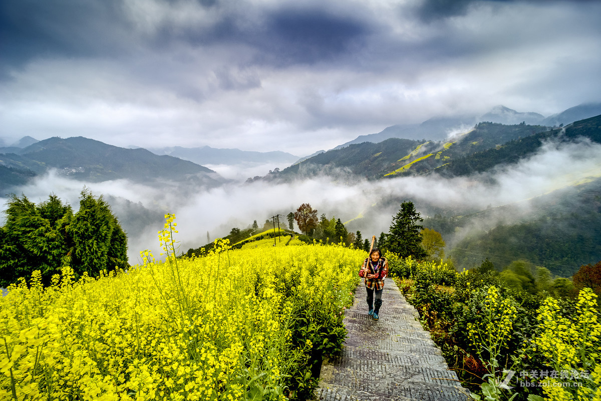 广角微距镜头拍风景，大家一起欣赏！