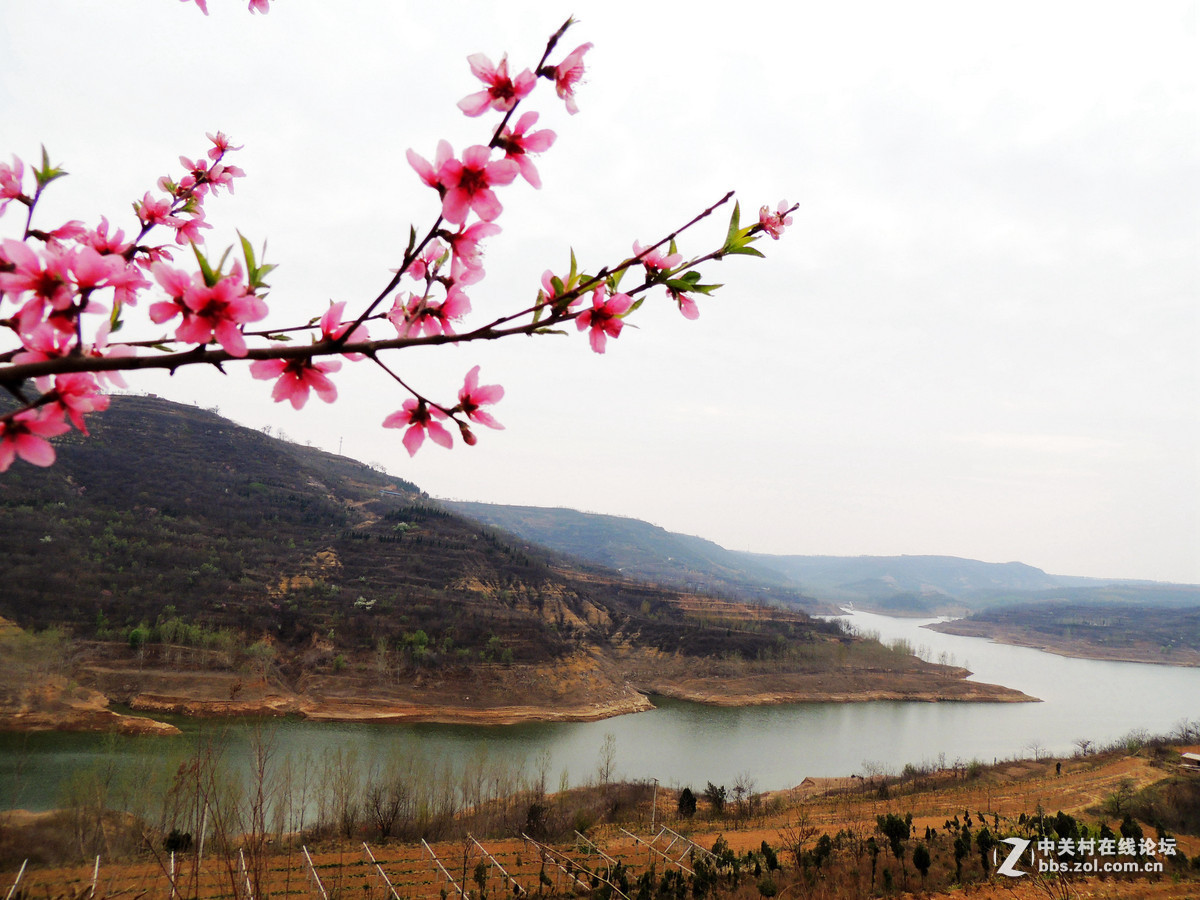 #版主坐堂# 4-6月尼康p510精华帖摘选