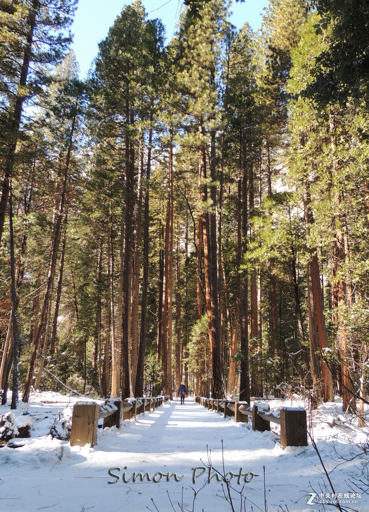 #版主坐堂# 4-6月尼康p510精华帖摘选