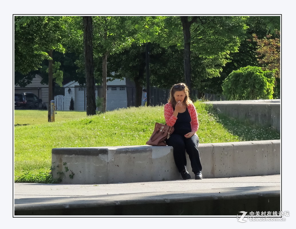 #版主坐堂# 4-6月尼康p510精华帖摘选