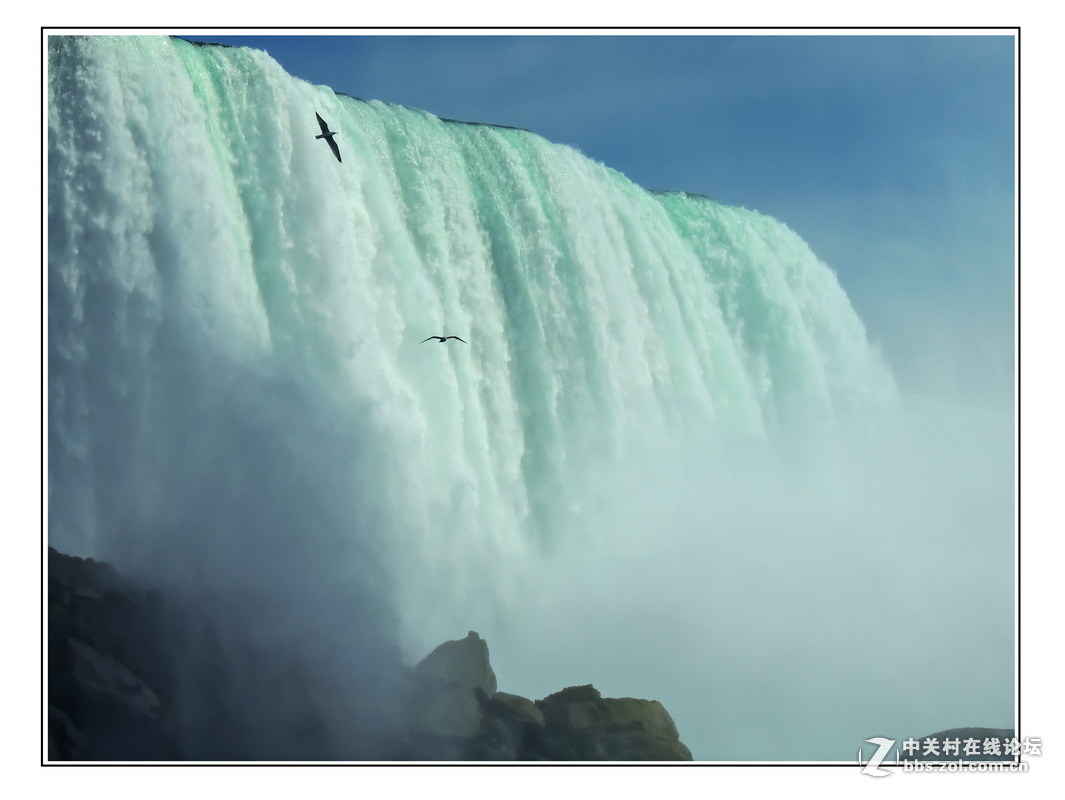 #版主坐堂# 4-6月尼康p510精华帖摘选