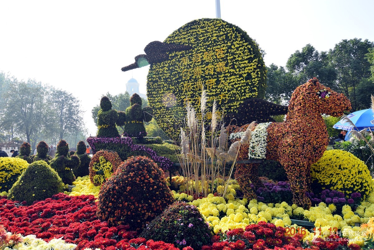 汉口江滩观菊展