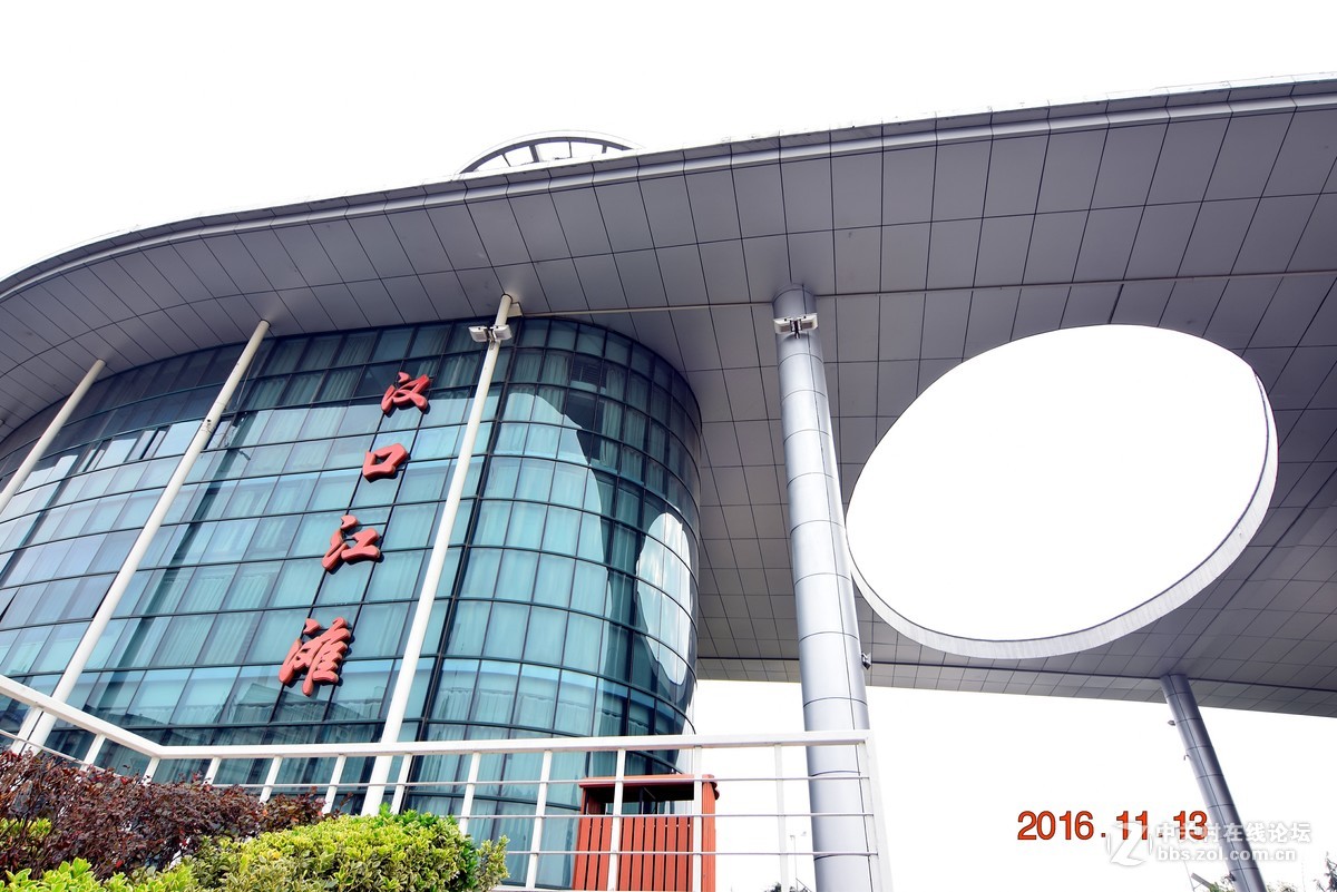 汉口江滩观菊展