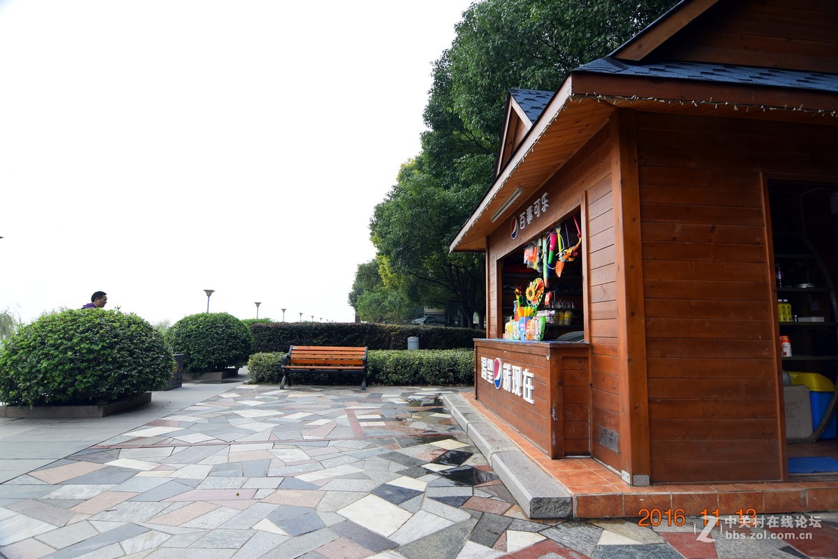 汉口江滩观菊展