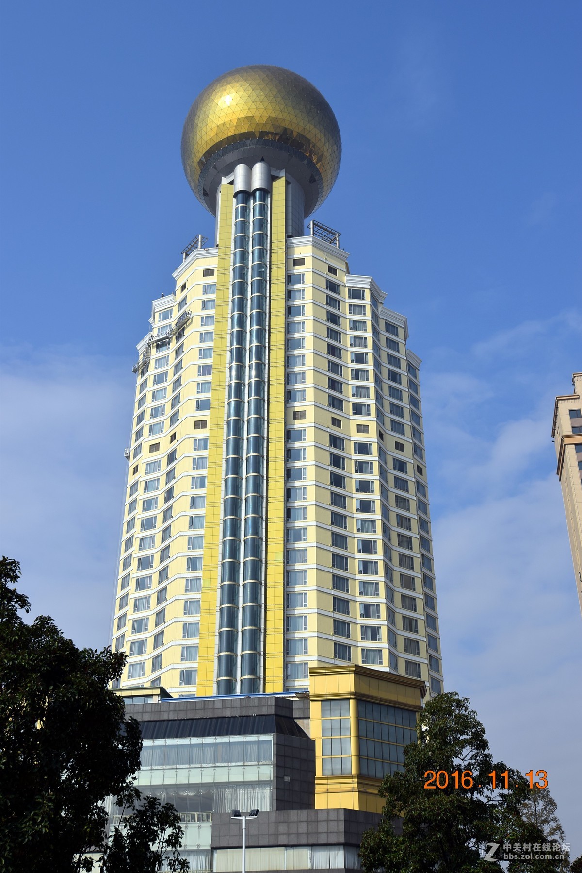 汉口江滩观菊展