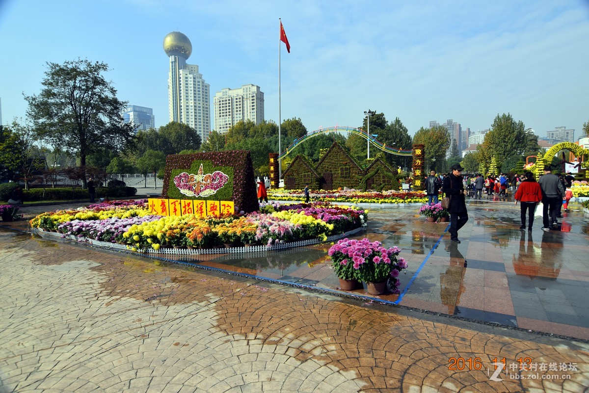 汉口江滩观菊展