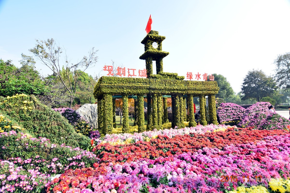 汉口江滩观菊展