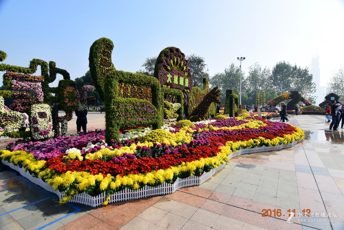 汉口江滩观菊展