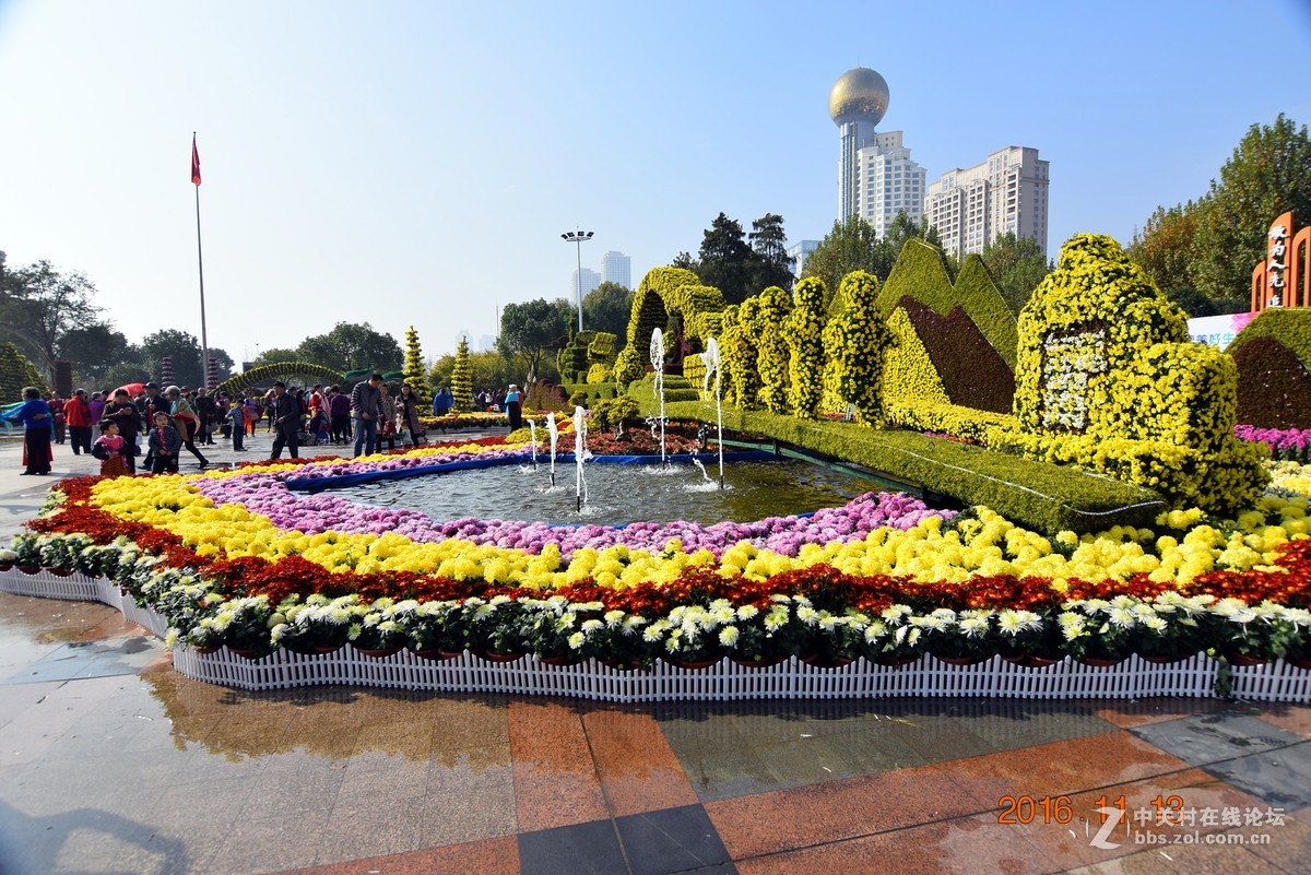 汉口江滩观菊展