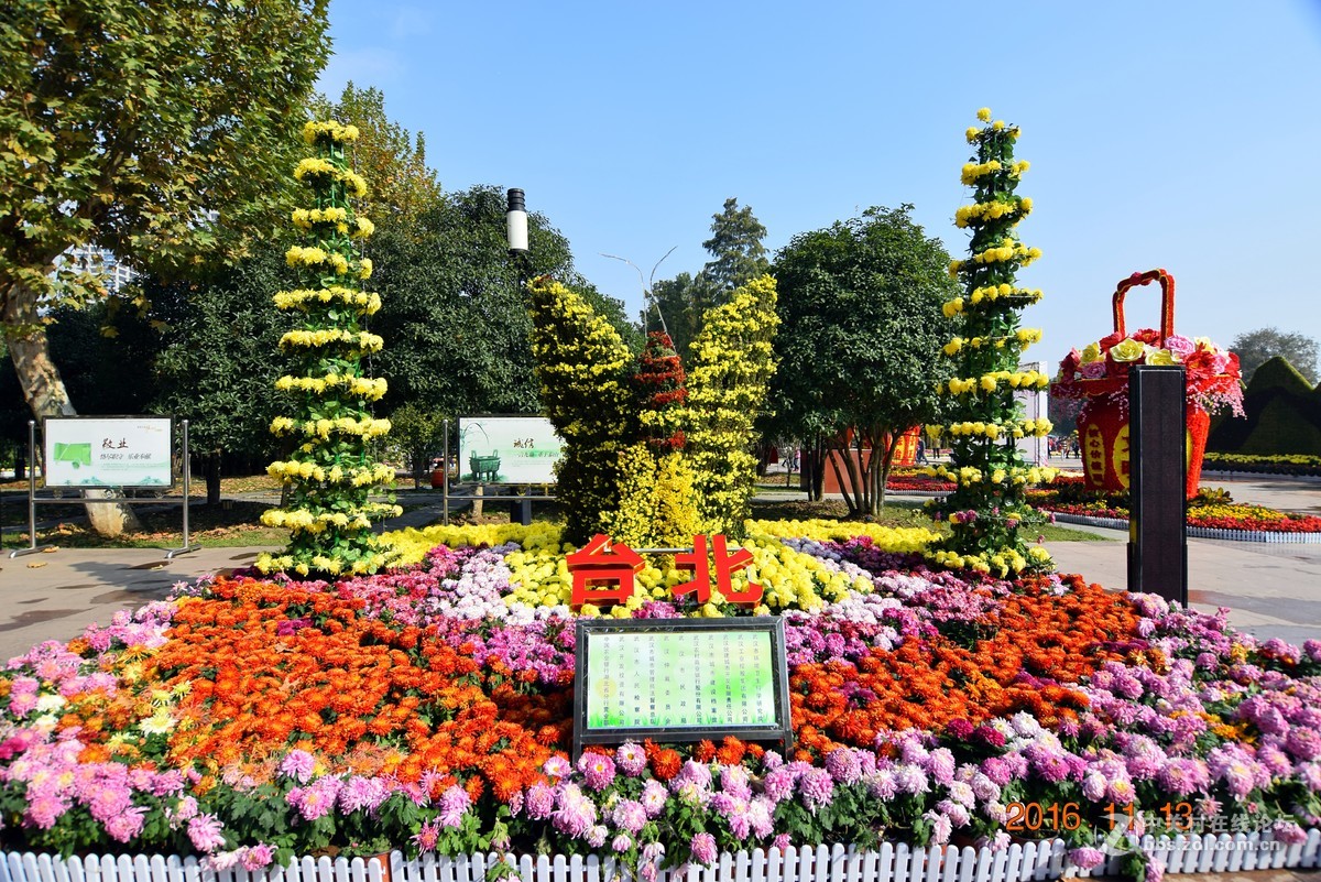 汉口江滩观菊展