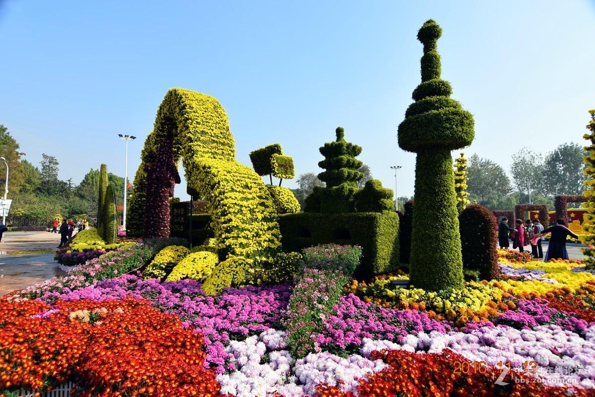 汉口江滩观菊展