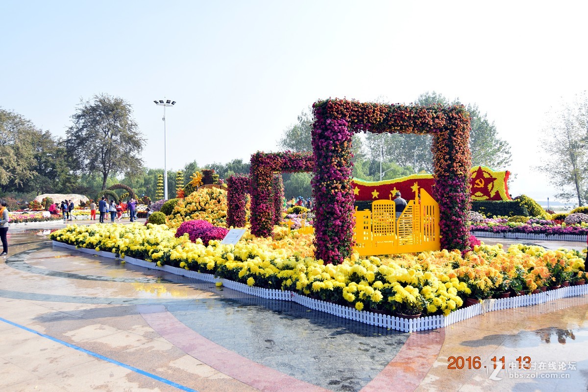 汉口江滩观菊展