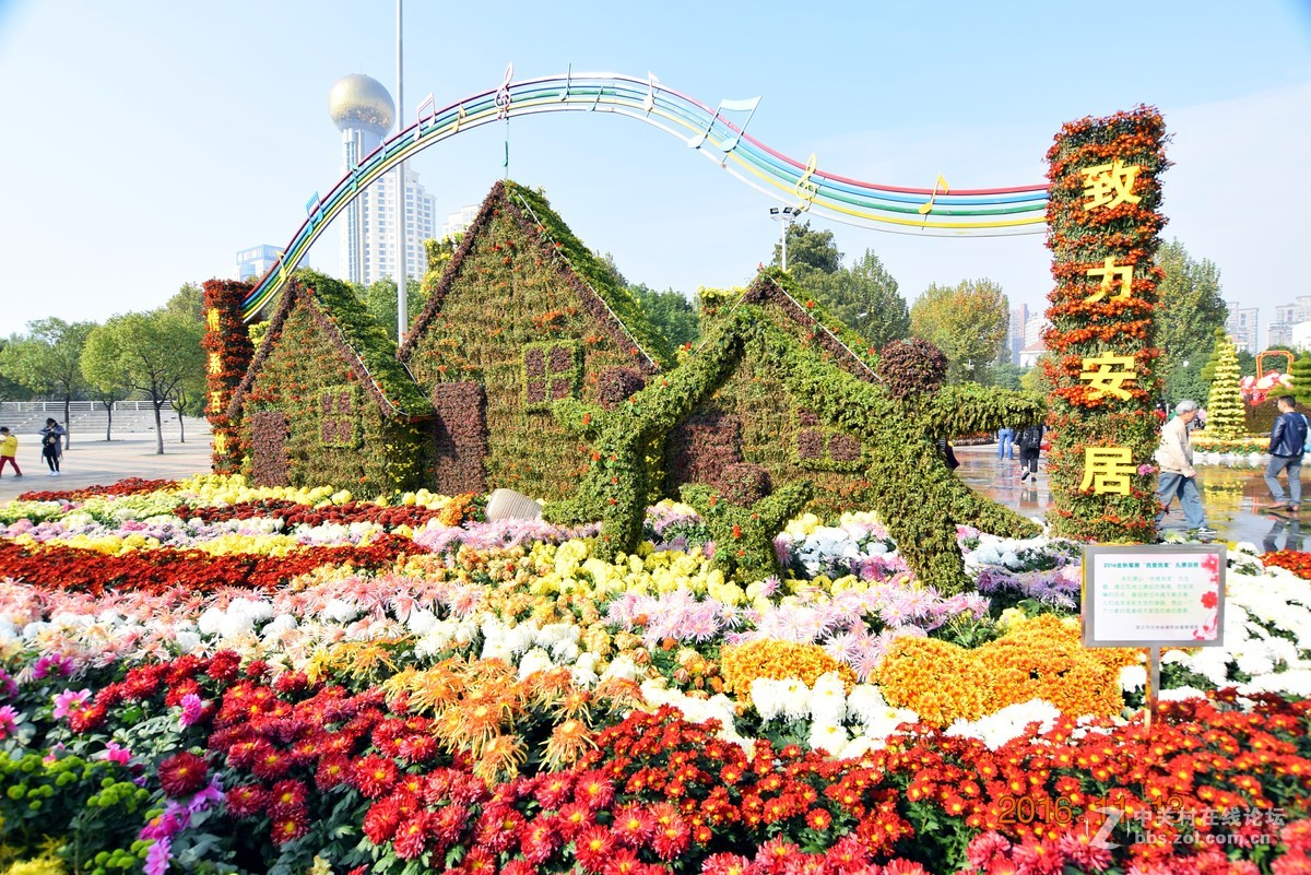 汉口江滩观菊展