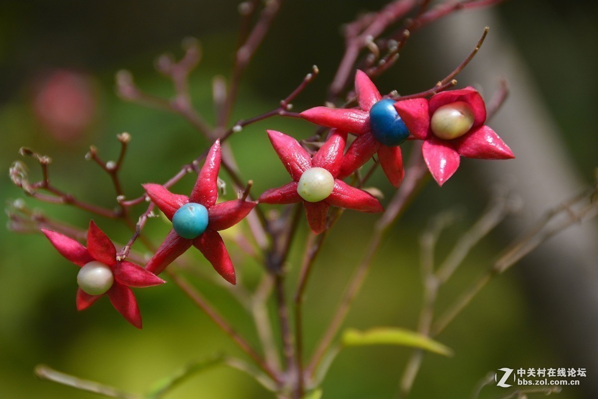 #版主坐堂# 小五星空(中国)2017年十月精品荟萃