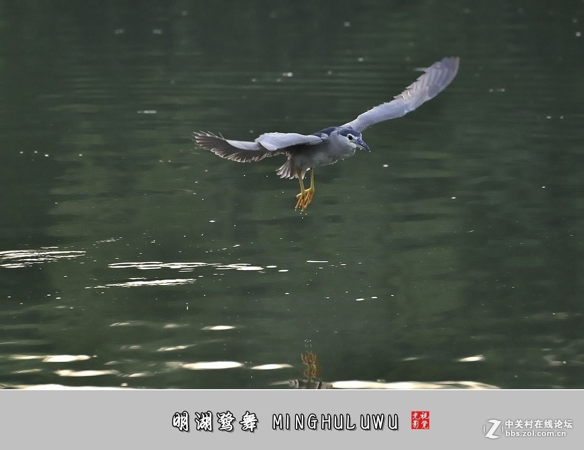 #版主坐堂# 小五星空(中国)2017年十月精品荟萃