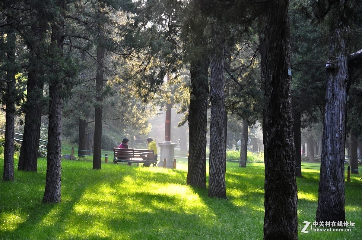 #版主坐堂# 小五星空(中国)2017年十月精品荟萃