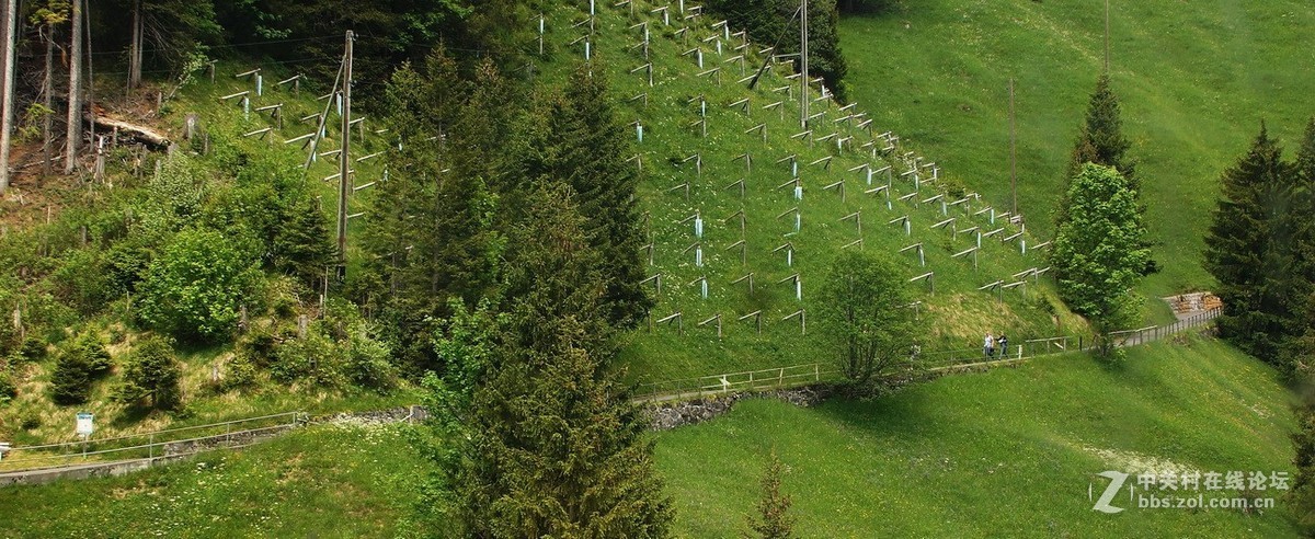 阿尔卑斯山旅拍小景