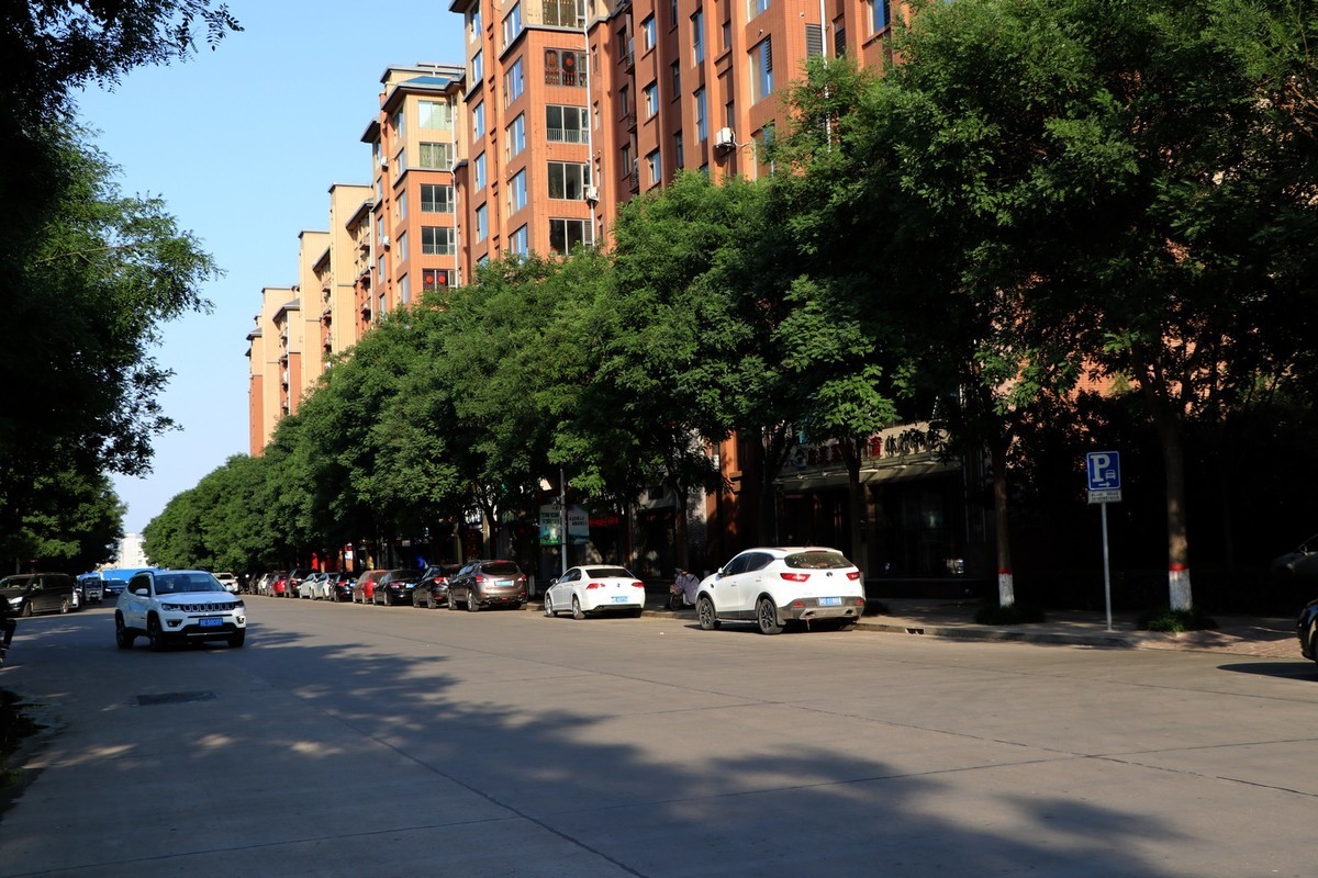 人民公园的花儿与建筑