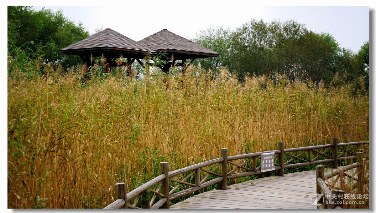 洽川处女泉国庆游拍