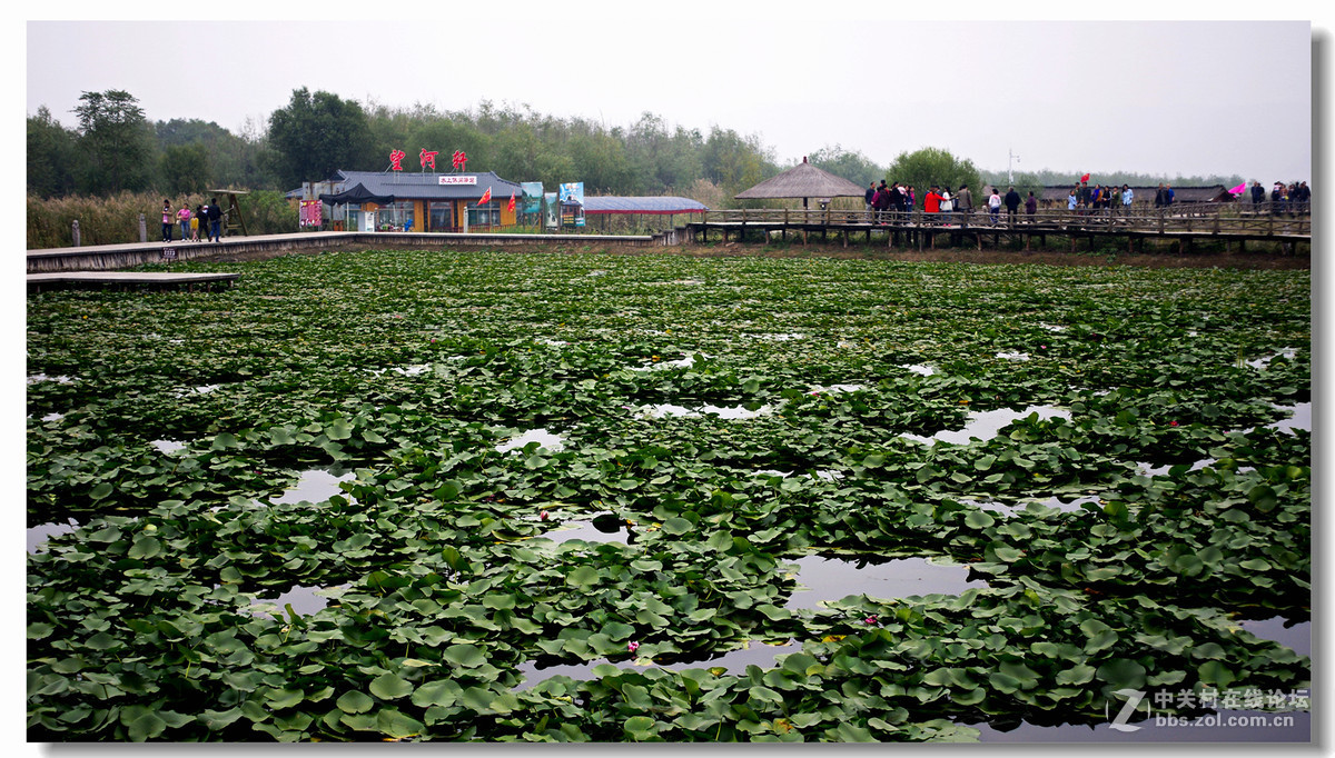 洽川处女泉国庆游拍