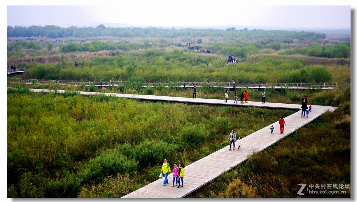 洽川处女泉国庆游拍