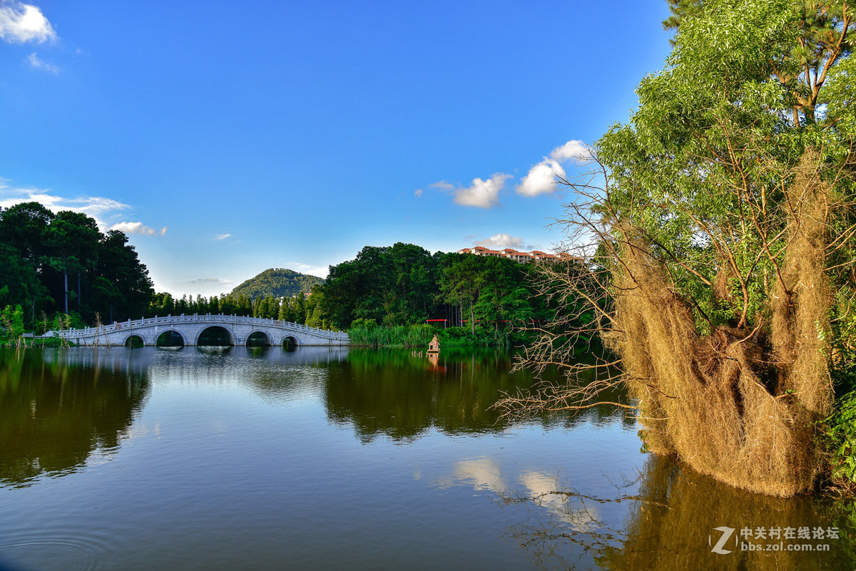 阳江金山公园中珠在水一方小景