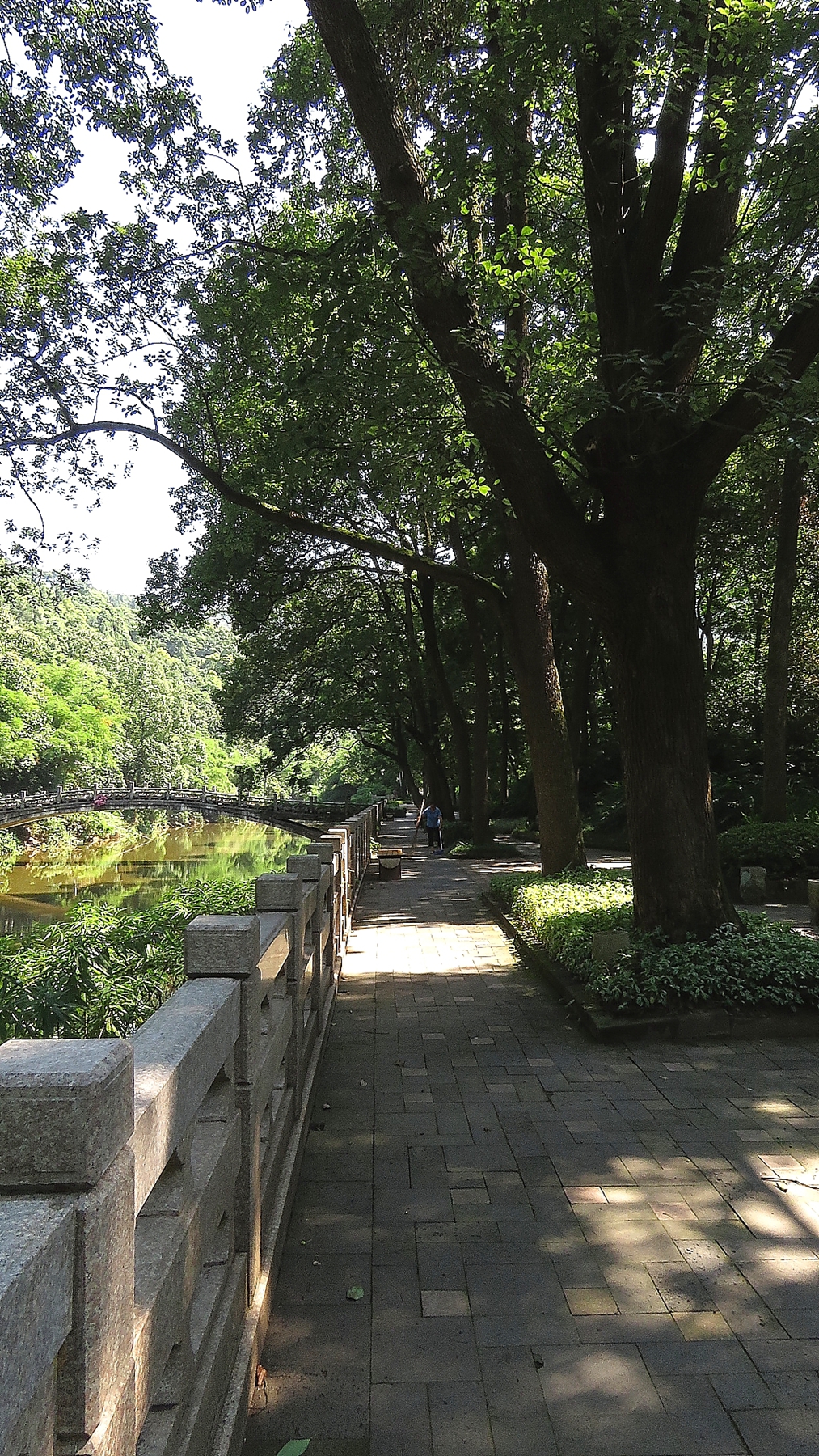 盛夏的重庆南温泉公园