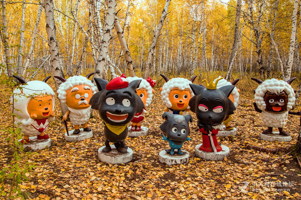 额尔古纳白桦林