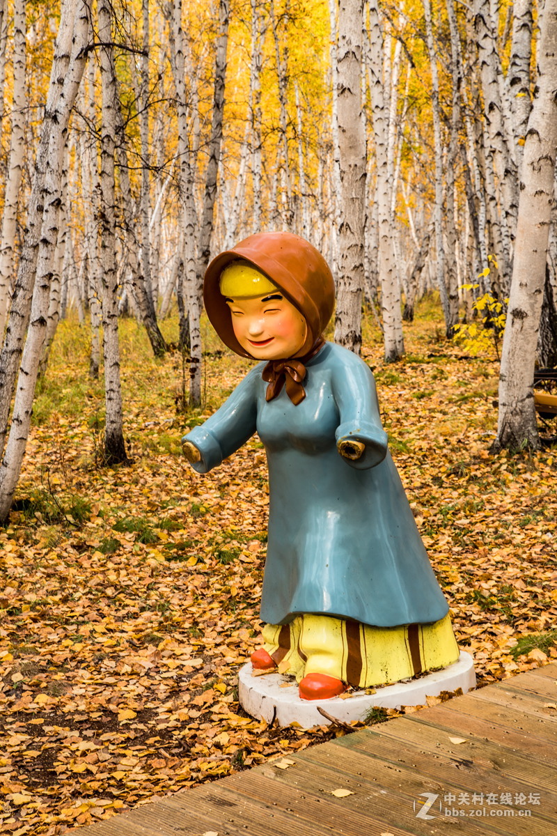 额尔古纳白桦林