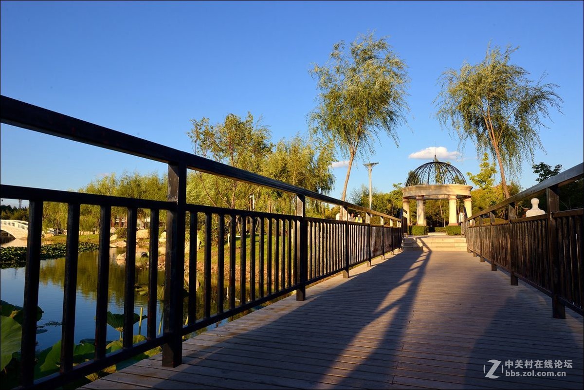 休闲随拍（334）