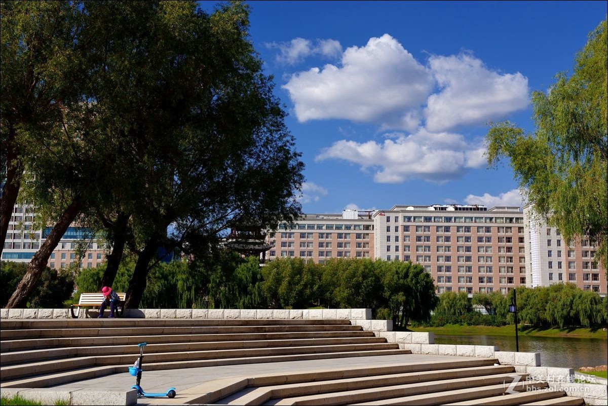 休闲随拍（334）