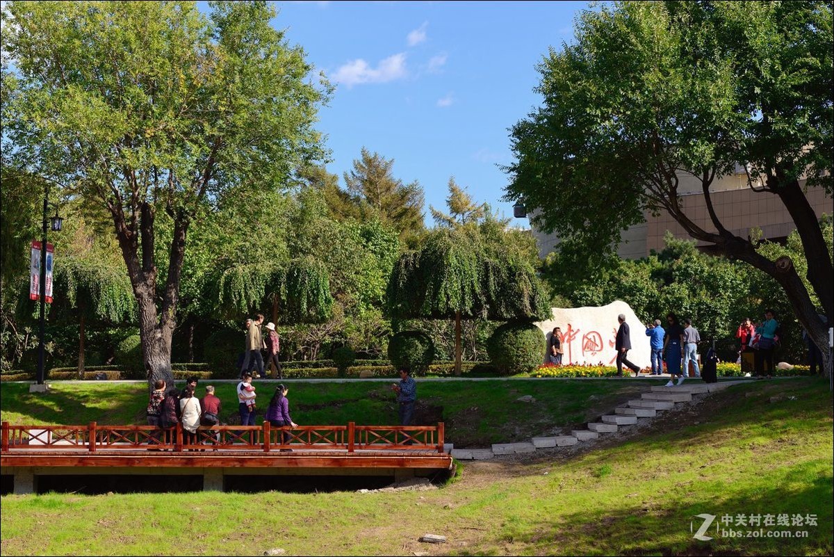 休闲随拍（334）